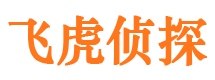 乐东市侦探调查公司